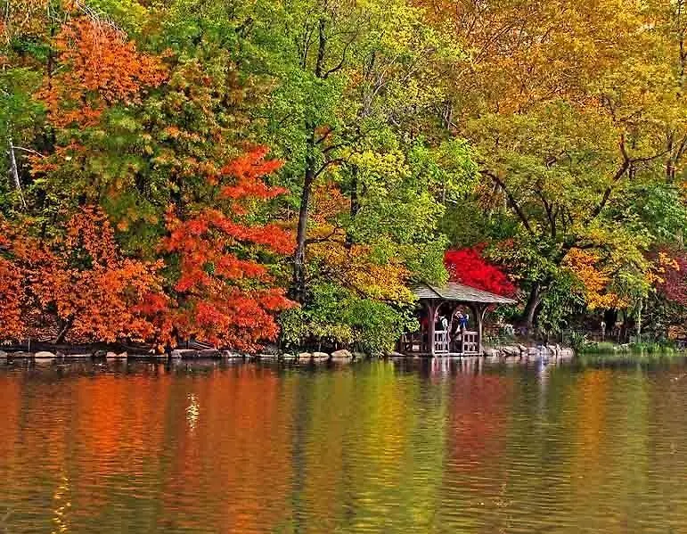Central Park Bucarest Appartamento