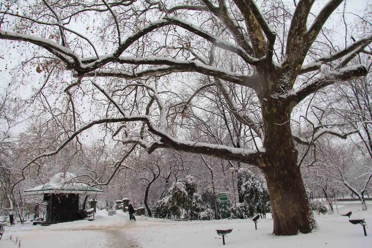 Central Park Bucarest